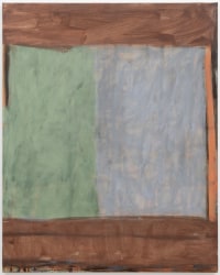 Anouk van Zwieten, Camouflage