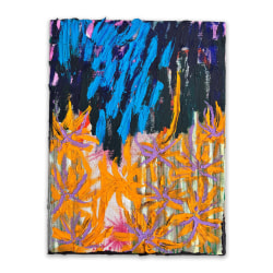 Tosja van Lieshout, Due to rain