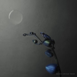 Marie Cecile Thijs, Blue Moonday