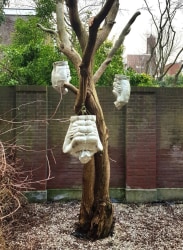 Adriaan Rees, Strange Fruit