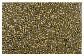 Emily Kame Kngwarreye, Bush Tomato