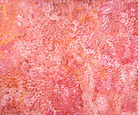 Emily Kame Kngwarreye, Alhalkere, Wildflower Dreaming