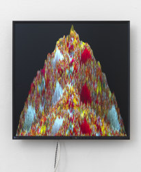 Harm van den Dorpel, Anicca 2