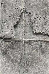 Kim Habers, Ele Não, ceramic drawing