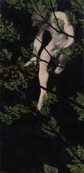 Luis Xertu, From Above
