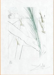 Salvador Dali, Love's Labor Lost