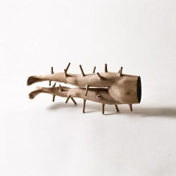 Andreas Senoner, Regrowth