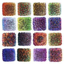 Zhuang Hong Yi, Flowerbed Mini