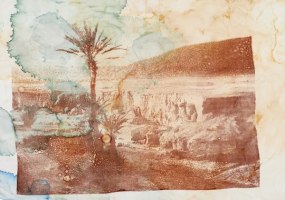 Douglas Mandry, Untitled (Palm), from the series Les Archives de la Planète