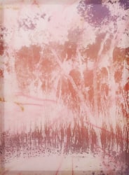 Douglas Mandry, Untitled (Tree II), from the series Les Archives de la Planète