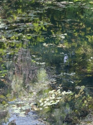 Sandra Kantanen, Lake 13