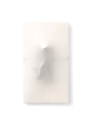 Carmine Antonio Iacolare, untitled