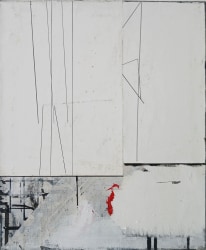 Bart Vandevijvere, Lines for Bram De Looze