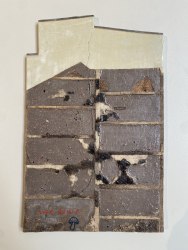 Asya Marakulina, The House with a Mushroom