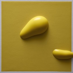 Daniel Mattar, Gunto