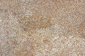 Mick Namarari Tjapaltjarri, Mouse Story (Dreaming)