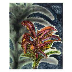 Sara van Vliet, Untitled