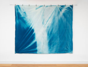 Eva-Fiore Kovacovsky, Jackotype