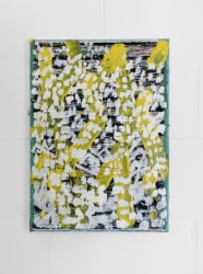 Svelte Thys, Schemerzone