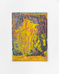 Svelte Thys, Kijken naar de buren