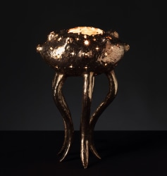 Jeske Haak, The Jellyifsh