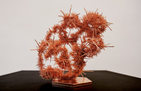 Ashley Zelinskie, Cats Paw Nebula