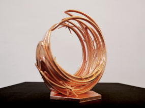 Ashley Zelinskie, Gravitational Lensing