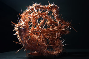 Ashley Zelinskie, WR124