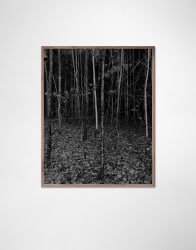 Marinka Reuten, For a moment