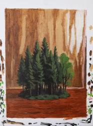 Francis Vanhee, The village forest