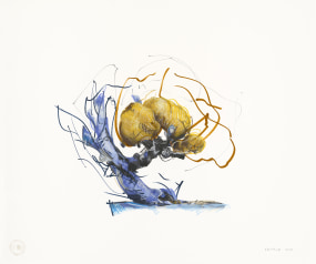 Nick Ervinck, CYROBSORIO