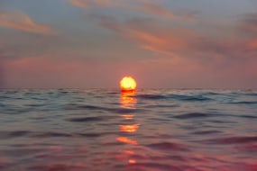 Inka & Niclas, Becoming Wilderness XXXI