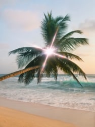 Inka & Niclas, Extensions I