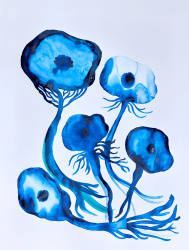 Poppykalas, Flowers of the Blue Hour