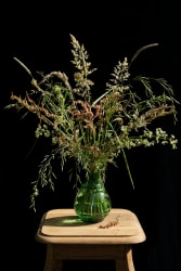 Kieke Kurstjens, Grasses