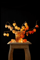 Kieke Kurstjens, Lanterns