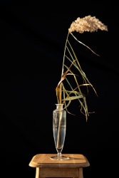 Kieke Kurstjens, Reed