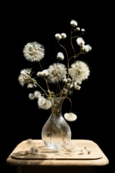 Kieke Kurstjens, Fluffballs