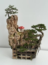 Patrick Bergsma, Toadstool