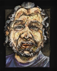 Raquel van Haver, portret