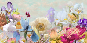 Ruud van Empel, Voyage Pittoresque #13