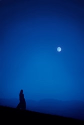 Paul Cupido, Uphill at Dusk II