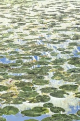 Danielle Kwaaitaal, Silverlining Series - Cobalt