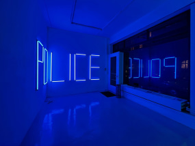 Anne-Lise Coste, POLICE