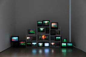 Elia Vanderheyden, Where have the birds gone?