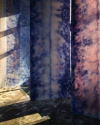 Jan Theun van Rees, Dag en nacht