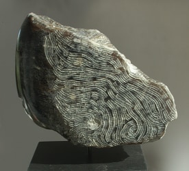 Els Kingma, Kop met wapperende haren