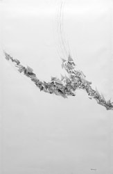 Paul Van Hoeydonck, Compostion