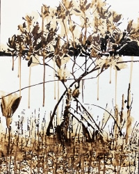 TINKEBELL., Oleum Shell isla de Curaçao #18