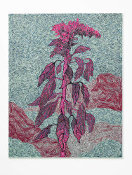 Simone Post, Amaranth